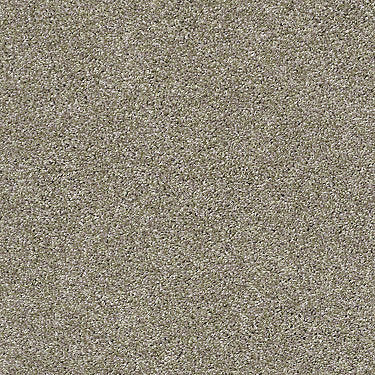 All About It Residential Carpet