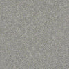 After All II Residential Carpet