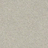 After All II Residential Carpet