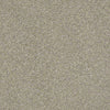 After All II Residential Carpet