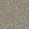Absolutely It Residential Carpet