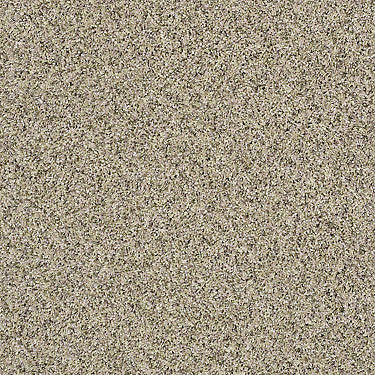 Absolutely It Residential Carpet