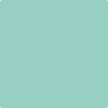 Benjamin Moore's paint color 647 Fun 'n Games