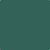 Benjamin Moore's paint color 651 Brazilian Rainforest