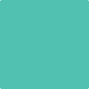 Benjamin Moore's paint color 656 Miami Teal