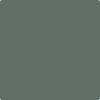 Benjamin Moore's paint color 700 Enchanted Forest