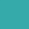 Benjamin Moore's paint color 733 Palm Coast Teal