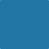 Benjamin Moore's paint color 784 Blue Macaw