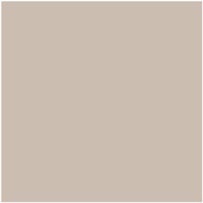 Benjamin Moore's Paint Color CC-396 Stone Castle avaiable at Standard Paint & Flooring