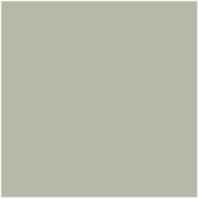 Benjamin Moore's Paint Color CC-550 October Mist avaiable at Standard Paint & Flooring