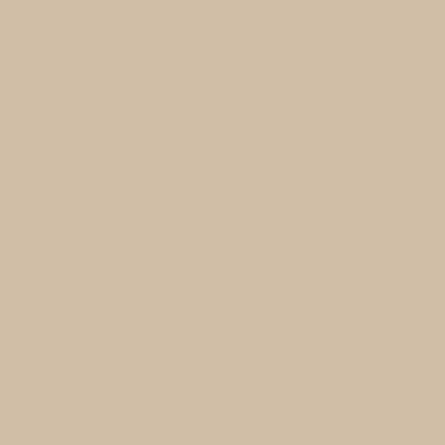 Benjamin Moore's Paint Color CC-320 Bar Harbour Beige avaiable at Standard Paint & Flooring