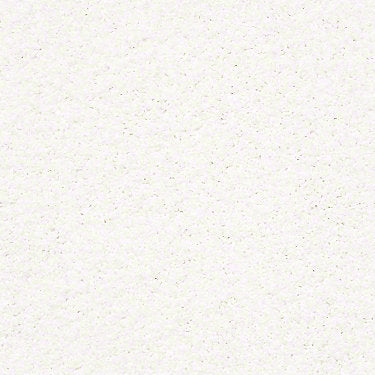 Rich Opulence Residential Carpet