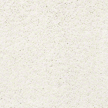 Rich Opulence Residential Carpet
