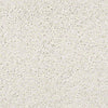 Rich Opulence Residential Carpet