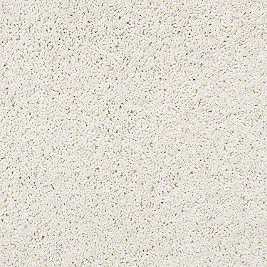 Rich Opulence Residential Carpet