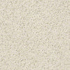 Rich Opulence Residential Carpet
