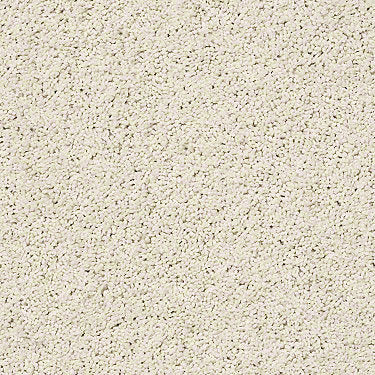 Rich Opulence Residential Carpet