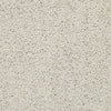 Rich Opulence Residential Carpet