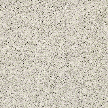 Rich Opulence Residential Carpet