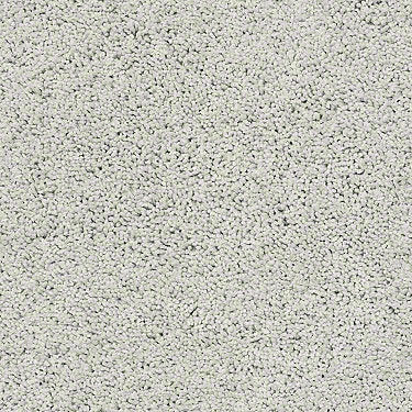 Rich Opulence Residential Carpet