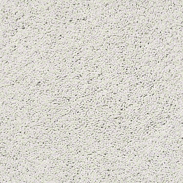Rich Opulence Residential Carpet
