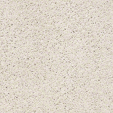 Rich Opulence Residential Carpet