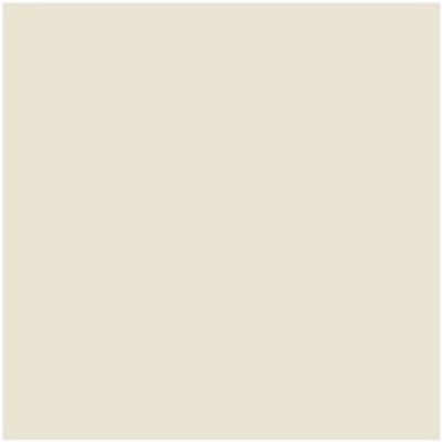 Benjamin Moore Paint Color CSP-215 Cake Batter available at Standard Paint in Washington State.