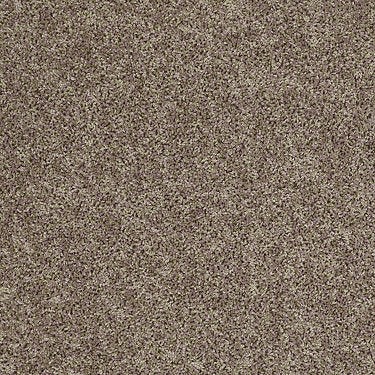 Ride It Out (S) Residential Carpet