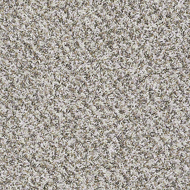 Ride It Out (B) Residential Carpet