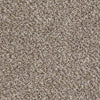 Ride It Out (B) Residential Carpet
