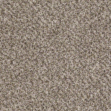 Ride It Out (B) Residential Carpet
