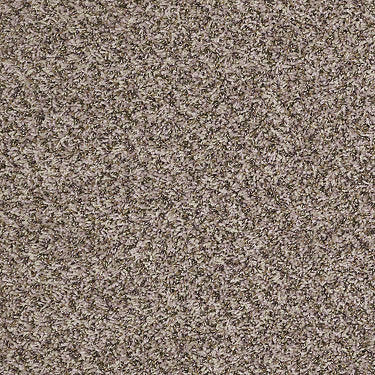 Ride It Out (B) Residential Carpet