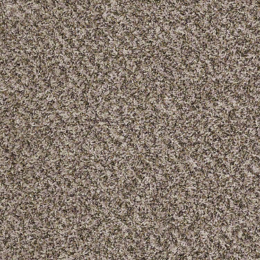 Ride It Out (B) Residential Carpet