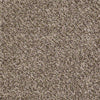Ride It Out (B) Residential Carpet