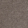 Ride It Out (B) Residential Carpet