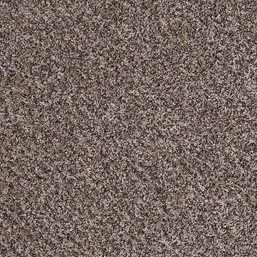 Ride It Out (B) Residential Carpet