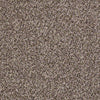 Ride It Out (B) Residential Carpet
