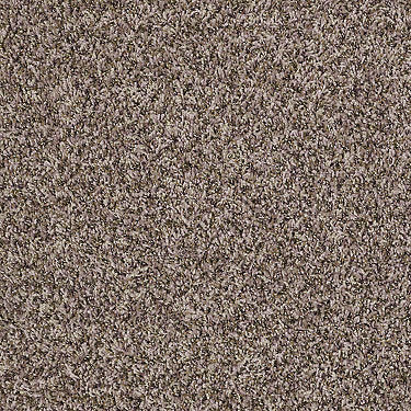 Ride It Out (B) Residential Carpet
