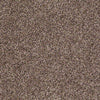 Ride It Out (B) Residential Carpet