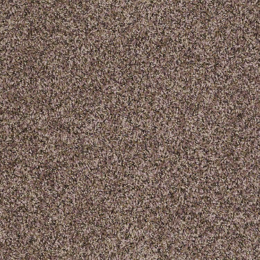 Ride It Out (B) Residential Carpet