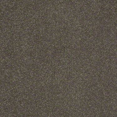 Sandy Hollow Classic II 12 Residential Carpet
