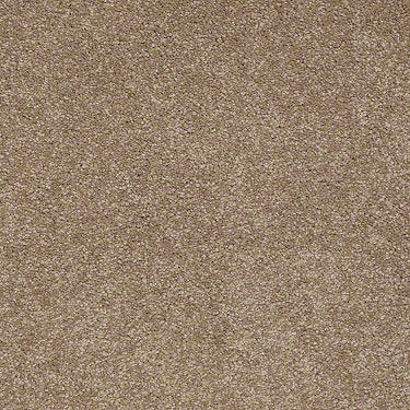 Sandy Hollow Classic III 12' Residential Carpet