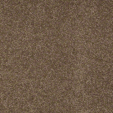 Sandy Hollow Classic III 12' Residential Carpet