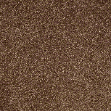 Well Played II 12 Residential Carpet