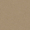 Prestigious Residential Carpet