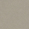 Prestigious Residential Carpet
