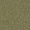 Prestigious Residential Carpet