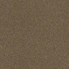 Prestigious Residential Carpet