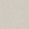 Palette Residential Carpet