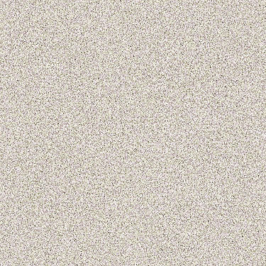 Palette Residential Carpet